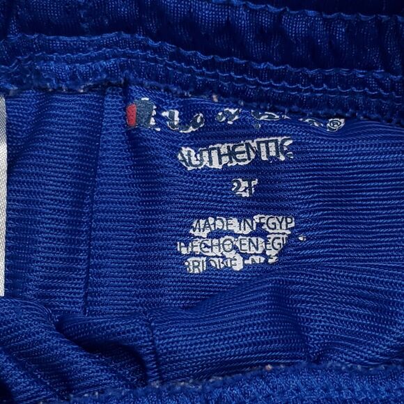 Champion Athletic Pull On Running Shorts Toddler Boys Size 2T Blue - Picture 3 of 8